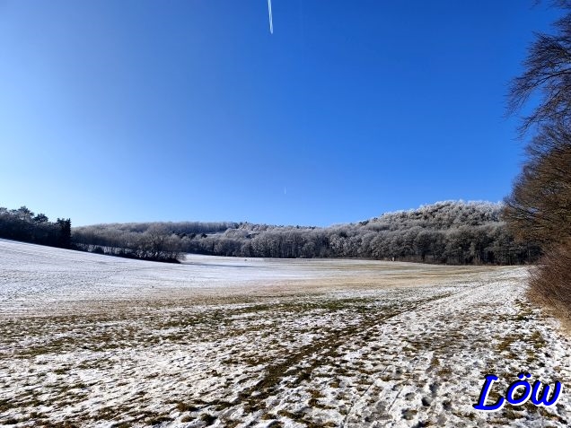 19.1.2026 - Eis statt Schnee, Hauptsache wei&szlig;